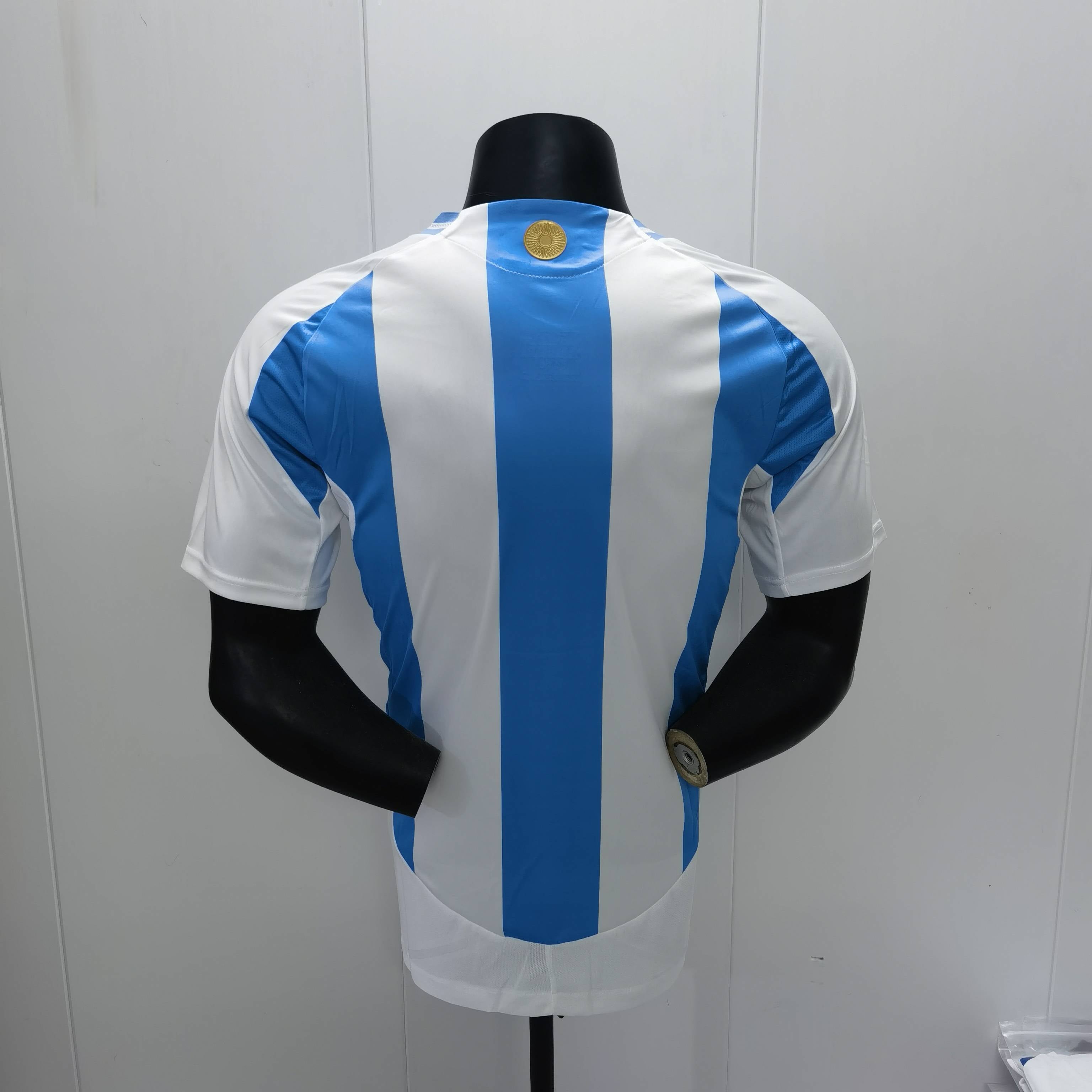 2024 Argentina home player version